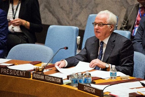 Discrepancias profundas en el Consejo de Seguridad de la ONU sobre la paz en Siria - ảnh 2
