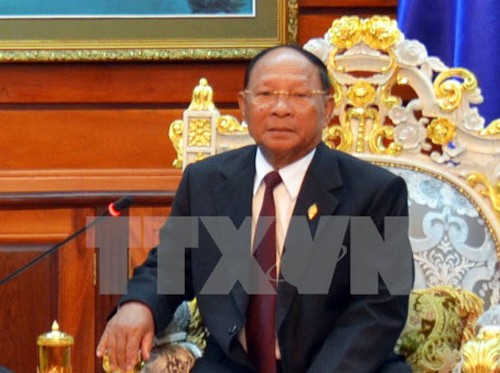 Vietnam y Camboyana estrecha solidaridad para prosperidad común  - ảnh 1