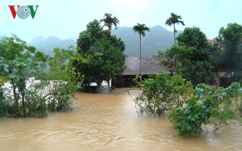 Provincia de Quang Binh ante inundaciones: simpatía y amor de persona a persona - ảnh 1