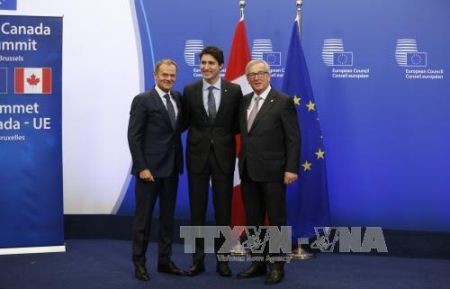 Nuevo capítulo en la cooperación comercial Unión Europea-Canadá - ảnh 1