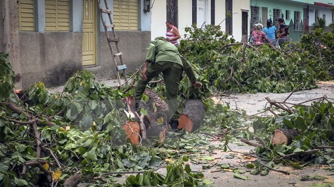 ONU apoya Cuba a superar consecuencias del huracán Matthew - ảnh 1