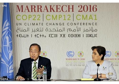 Prometen 23 millones de dólares para transferencia de tecnología en COP22 - ảnh 1