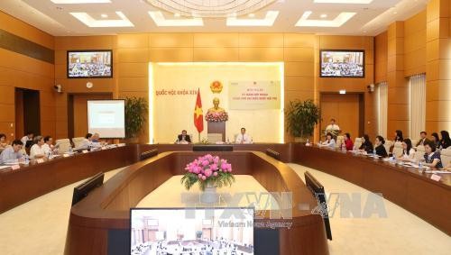 Vietnam por mejorar capacidad diplomática de parlamentarios jóvenes  - ảnh 1