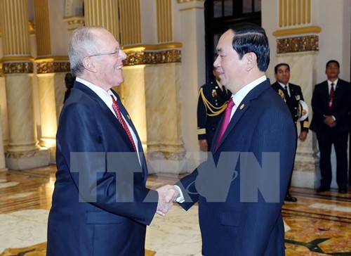 Vietnam y Perú buscan impulsar cooperación en sectores ventajosos  - ảnh 1