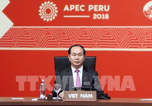 Presidente vietnamita finaliza su asistencia a XXIV Cumbre de APEC en Perú - ảnh 2