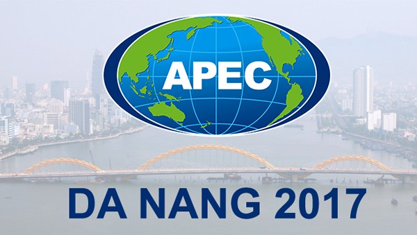 APEC 2017 afirma prestigio de Vietnam en palestra internacional - ảnh 1