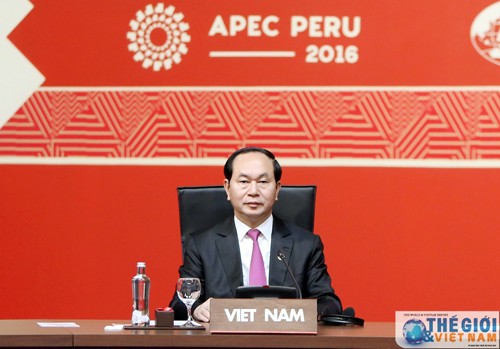 APEC 2017 afirma prestigio de Vietnam en palestra internacional - ảnh 2
