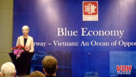 Promueven cooperación económica marítima Vietnam-Noruega - ảnh 1