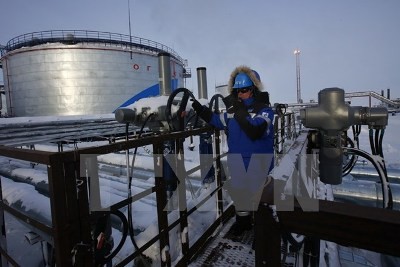 Suben precios del petróleo tras el logro del acuerdo entre países fuera de OPEP - ảnh 1