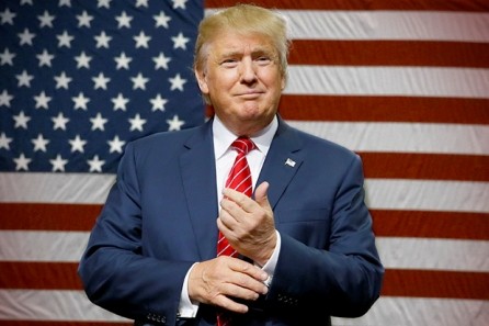 Donald Trump comprometido a unir Estados Unidos  - ảnh 1