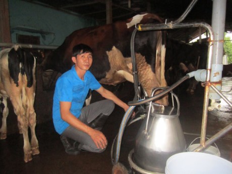 Agricultores de Ciudad Ho Chi Minh participan en innovación tecnológica  - ảnh 1