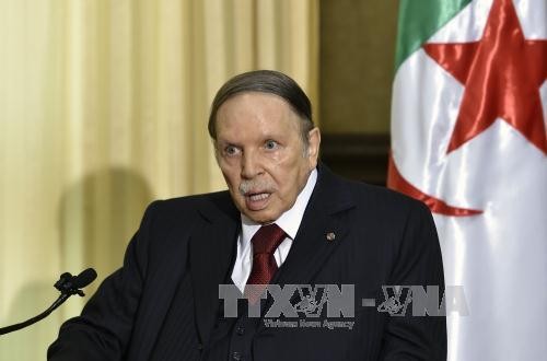Condecoran al presidente argelino con la Orden de la Solidaridad - ảnh 1
