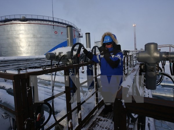 Logra Rusia récord de suministro de petróleo para Europa - ảnh 1