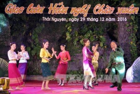 Celebran en Thai Nguyen programa artístico en saludo al año nuevo 2017 - ảnh 1