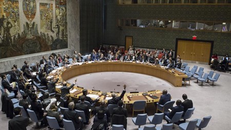 Consejo de Seguridad de la ONU aprueba resolución relativa al cese del fuego en Siria - ảnh 1
