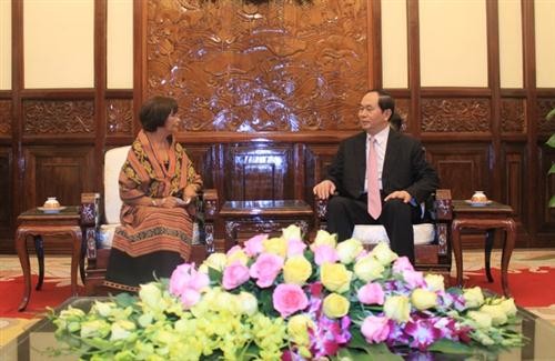 Presidente de Vietnam recibe a nuevos embajadores extranjeros  - ảnh 1
