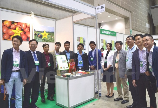 Japón apoya a provincia vietnamita de Lam Dong en agricultura  - ảnh 1