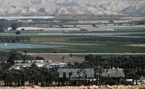Israel construirá 2500 viviendas en Cisjordania - ảnh 1