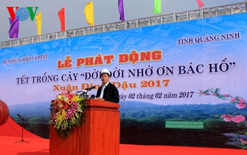 Presidente vietnamita lanza Festival de Siembra de Árboles 2017  - ảnh 1
