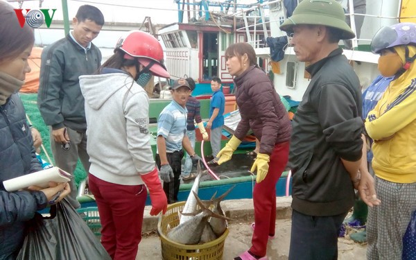 Pescadores vietnamitas cosechan abundantes recursos marítimos en primer viaje en alta mar   - ảnh 1