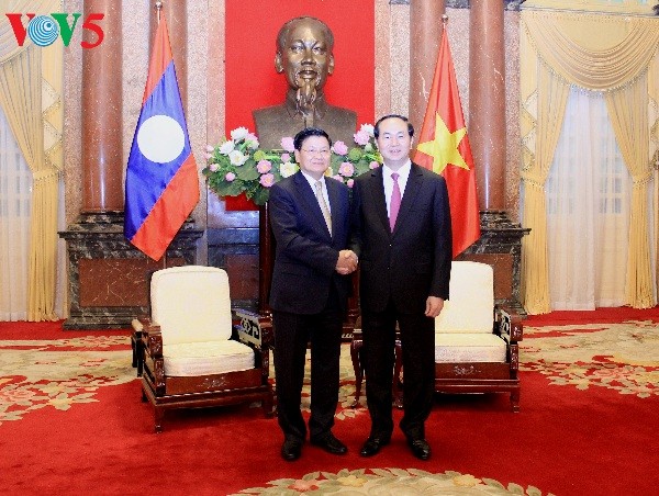 Presidente vietnamita se reúne con premier laosiano - ảnh 1