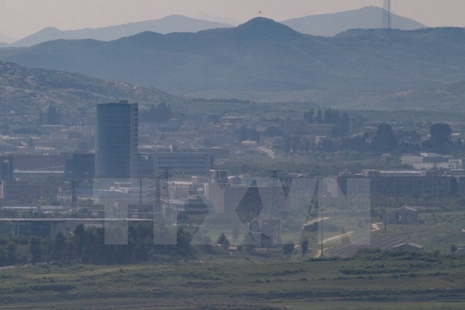 Corea del Sur rechaza reanudar operaciones del parque industrial Kaesong - ảnh 1