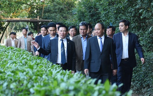 Primer ministro vietnamita rinde homenaje al Presidente Ho Chi Minh - ảnh 1