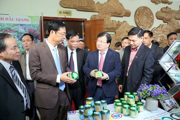 Vicepremier urge a desarrollar productos ventajosos de localidades vietnamitas - ảnh 1