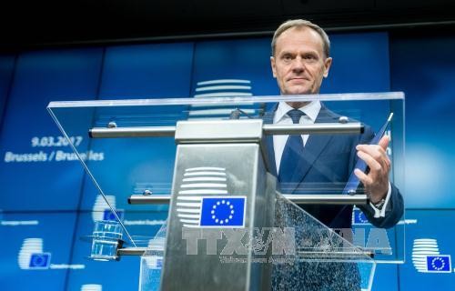Unión Europea lista para negociación con Reino Unido sobre el Brexit - ảnh 1