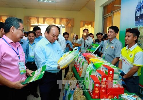 Urgen al desarrollo sostenible y aumento del valor del arroz vietnamita - ảnh 1