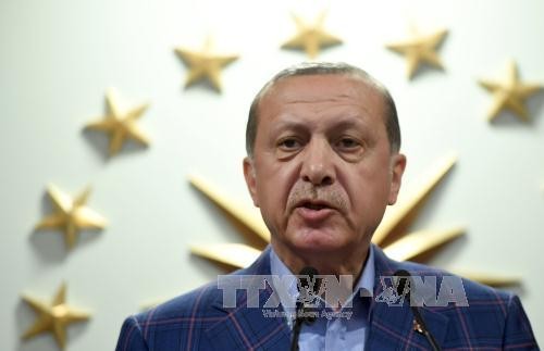 Turquía publica resultado del referendo sobre enmienda constitucional - ảnh 1