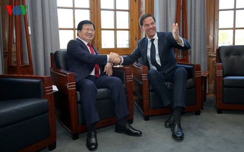Vice primer ministro vietnamita se entrevista con el jefe de gobierno holandés  - ảnh 1