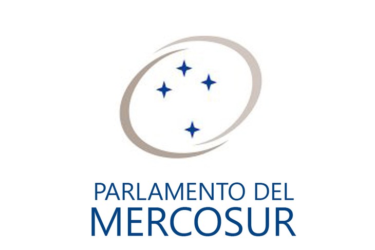 Parlasur repudia incidentes de violencia en Congreso de Paraguay - ảnh 1