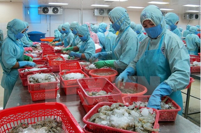 Productos acuíferos vietnamitas pretenden aumentar la confianza de consumidores europeos - ảnh 1