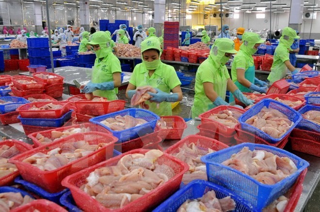 Vietnam factura ingresos multimillonarios por la exportación de productos acuáticos  - ảnh 1