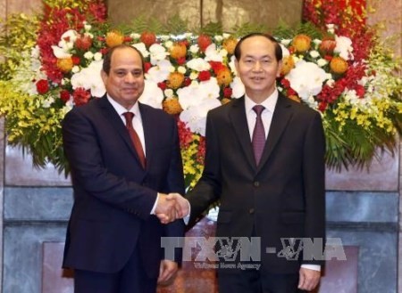 Vietnam y Egipto estrechan vínculos - ảnh 1