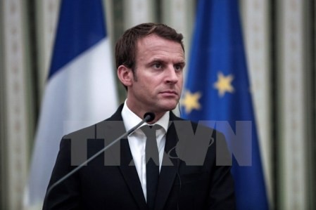 Presidente francés publicará su visión sobre el futuro de UE - ảnh 1