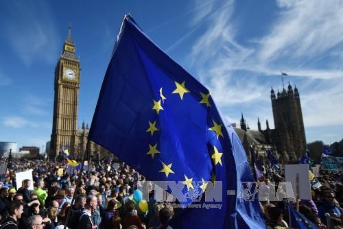 Marcha masiva en Londres en protesta contra el Brexit - ảnh 1