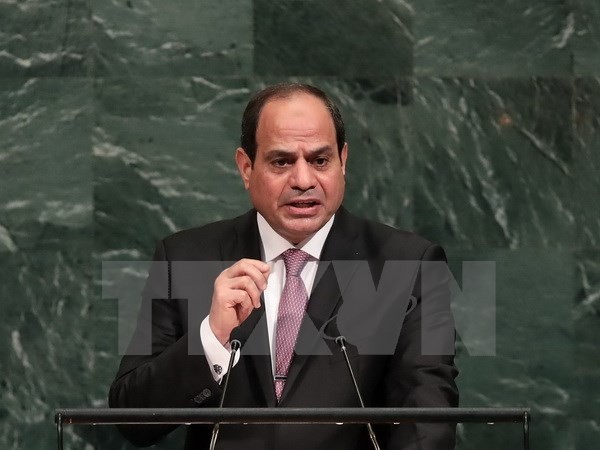 Presidente egipcio muestra su disposición de apoyar el proceso de paz en Oriente Medio - ảnh 1