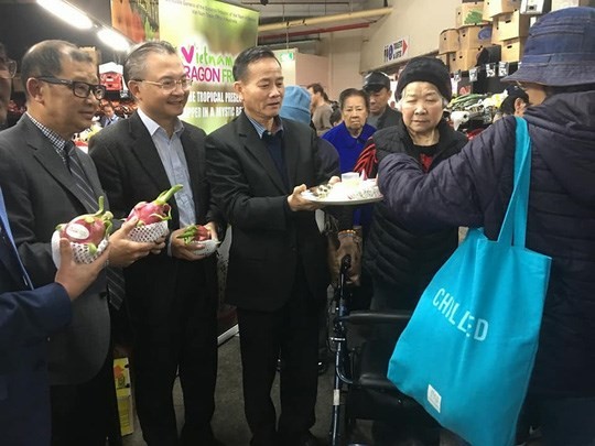 “El día de la pitaya vietnamita” en Australia: nueva oportunidad para los exportadores de frutas - ảnh 1