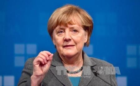 Canciller alemana inicia las conversaciones sobre la creación del gobierno de coalición - ảnh 1