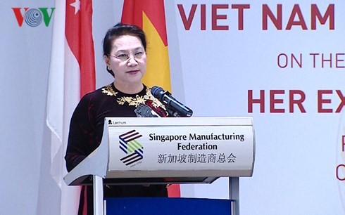 Diálogo Empresarial entre Vietnam y Singapur - ảnh 1