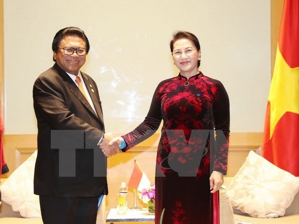 Líder parlamentaria vietnamita se reúne con los titulares legislativos de Malasia e Indonesia - ảnh 2