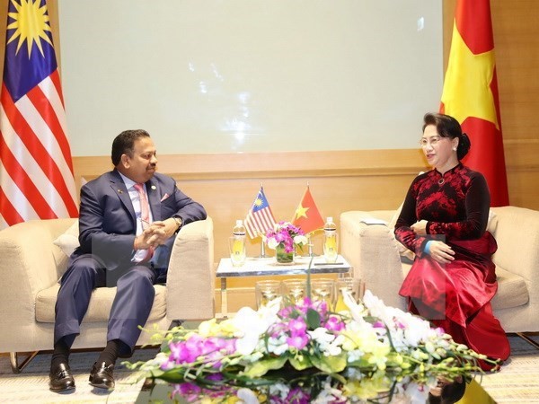Líder parlamentaria vietnamita se reúne con los titulares legislativos de Malasia e Indonesia - ảnh 1