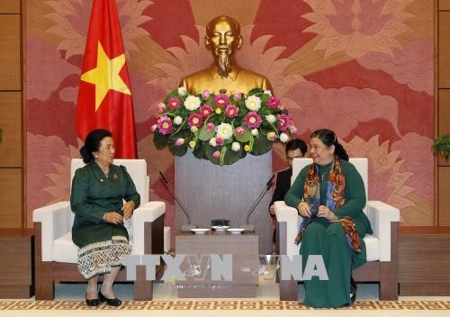 Parlamentos de Vietnam y Laos afianzan colaboración en asuntos étnicos - ảnh 1