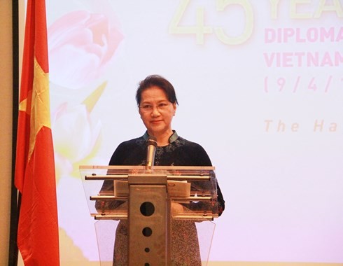 Vietnam y los Países Bajos conmemoran el 45 aniversario de relaciones diplomáticas - ảnh 1