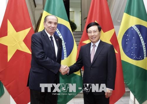 Vietnam interesado en afianzar la cooperación integral con Brasil - ảnh 1