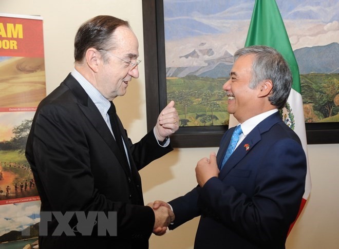 Vietnam y México por ampliar y profundizar sus relaciones de asociación - ảnh 1