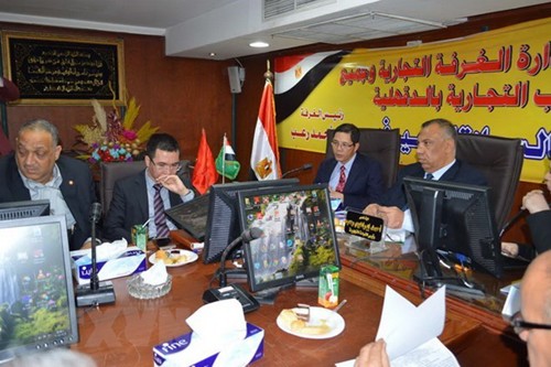 Prensa egipcia aprecia perspectivas de cooperación multifacética con Vietnam - ảnh 1