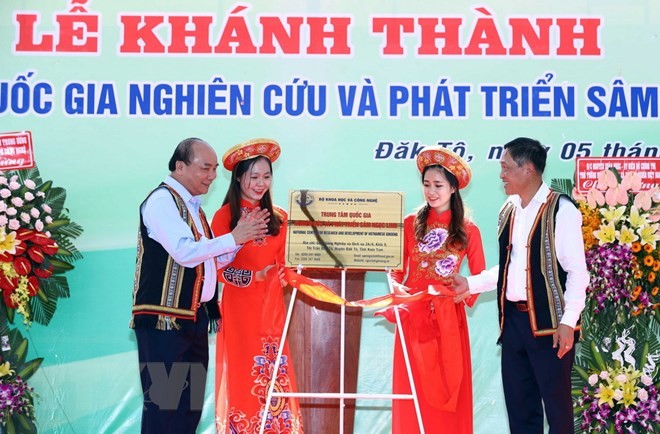 Ginseng Ngoc Linh es tesoro de Vietnam, afirma el jefe del Gobierno - ảnh 1